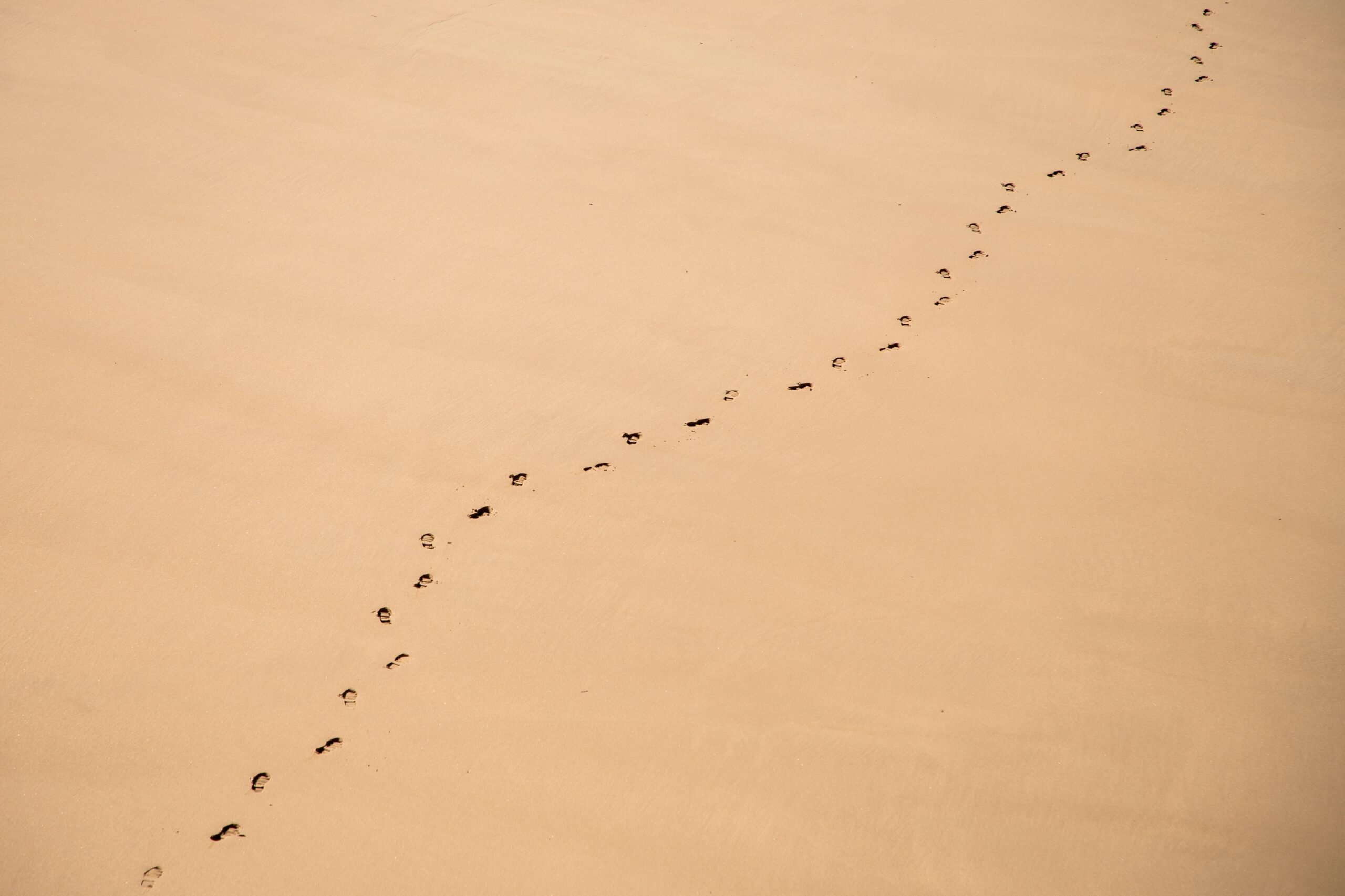 海外市場で成功する英語のコンテンツマーケティング Tamlo